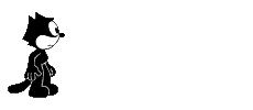 a black cat pacing back and forth