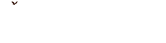 bird flying in circles