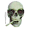 a cool skull smoking a j. you know she's cool because of her sunglasses